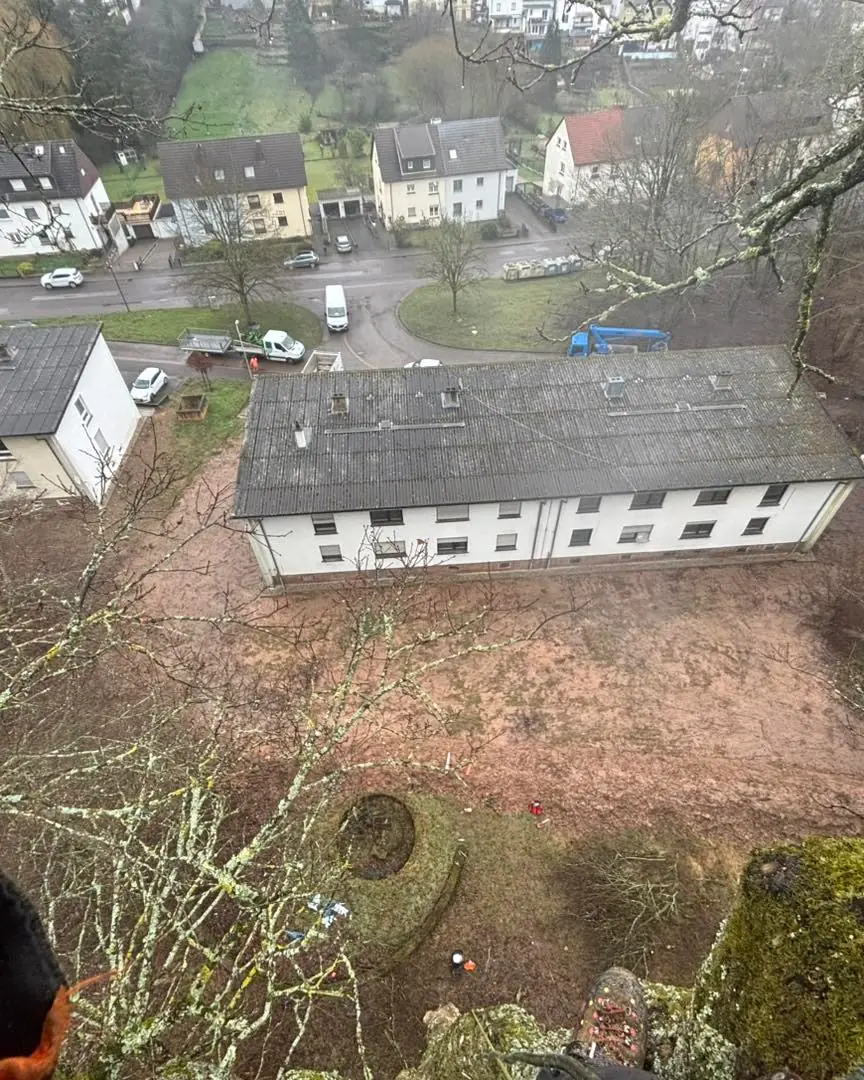 Tiefblick aus der Baumkrone auf ein Mehrfamilienhaus, Strasse und Fahrzeuge; unten im Bild der Kletterschuh des Arbeiters auf dem