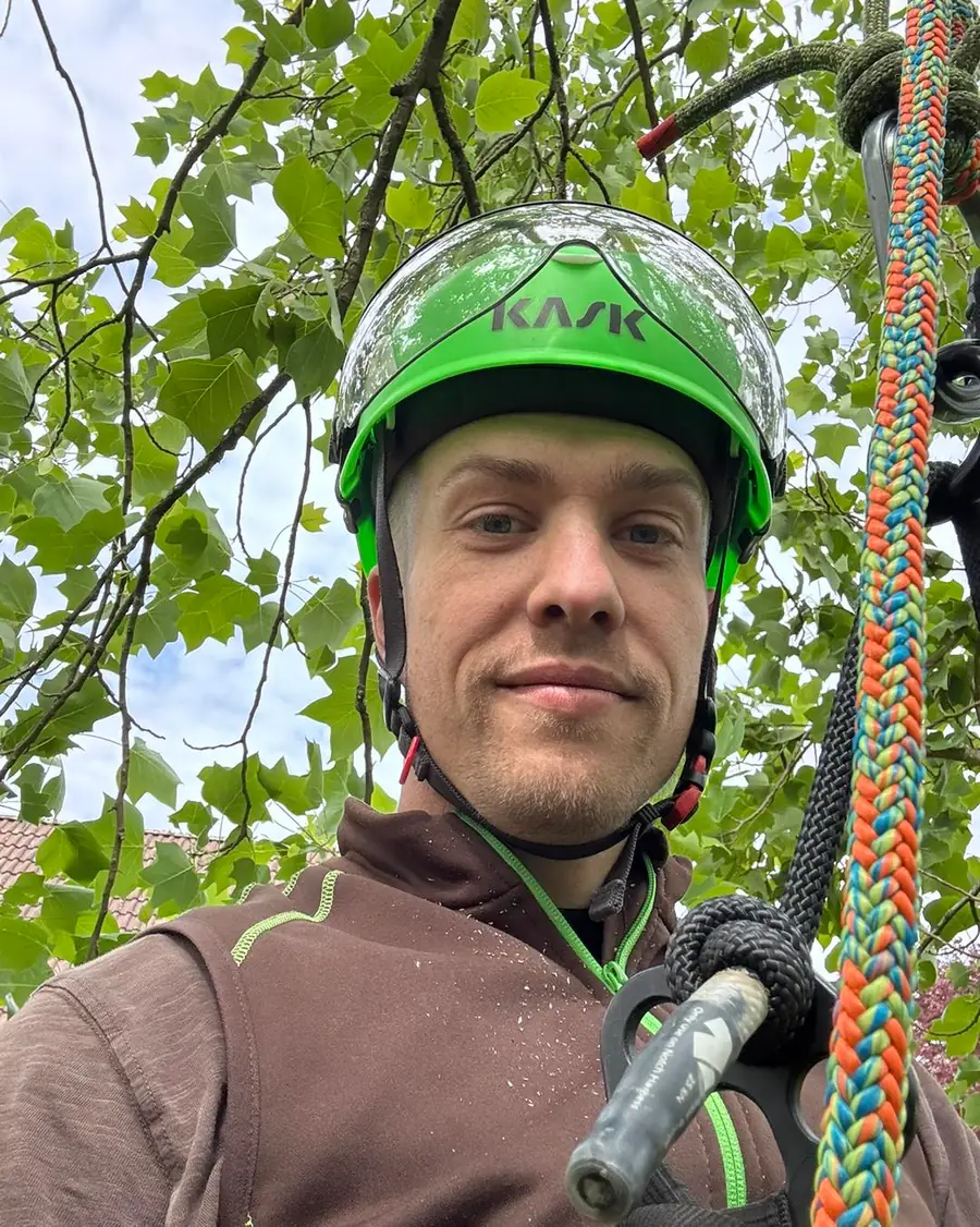 Selfie im Baum: Kletterer mit gruenem Kletterhelm, buntem Kletterseil, Karabiner und Saegestiel mitten in der belaubten Krone.