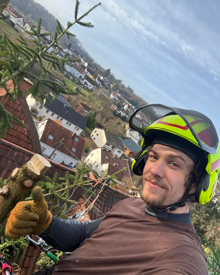 Selfie des Baumkletterers mit neongelbem Schutzhelm und Gehoerschutz hoch oben in einer Fichte, im Hintergrund der Blick ueber die