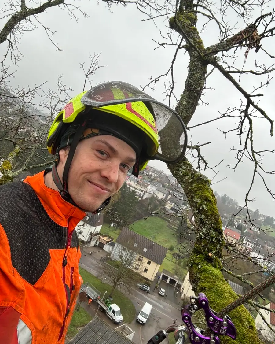 Selfie im Baum: Mann in oranger Schnittschutzjacke mit Helm und Visier, daneben bemooster Ast mit lila Kletterrolle, unten Strasse
