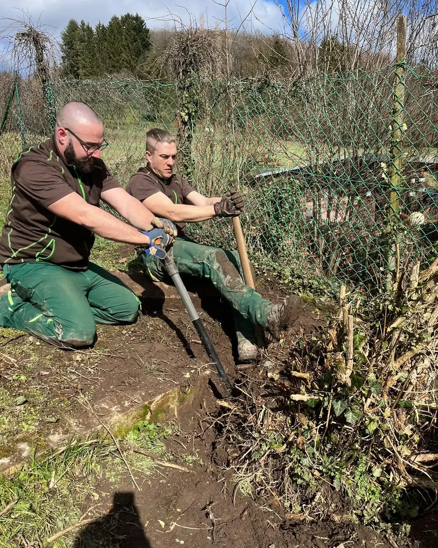 Zwei Mitarbeiter in Firmenkleidung knien am Zaun und hebeln mit Spaten und Stange eine Wurzel aus dem Boden, sonniger Fruehlingsta