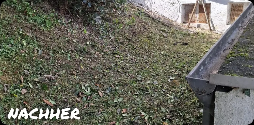 Nachher: Böschung an der Rinne freigeschnitten