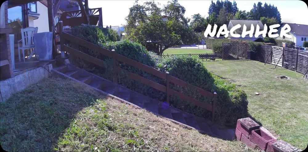 Nachher: Buchsbaumhecke am Zaun zurueckgeschnitten