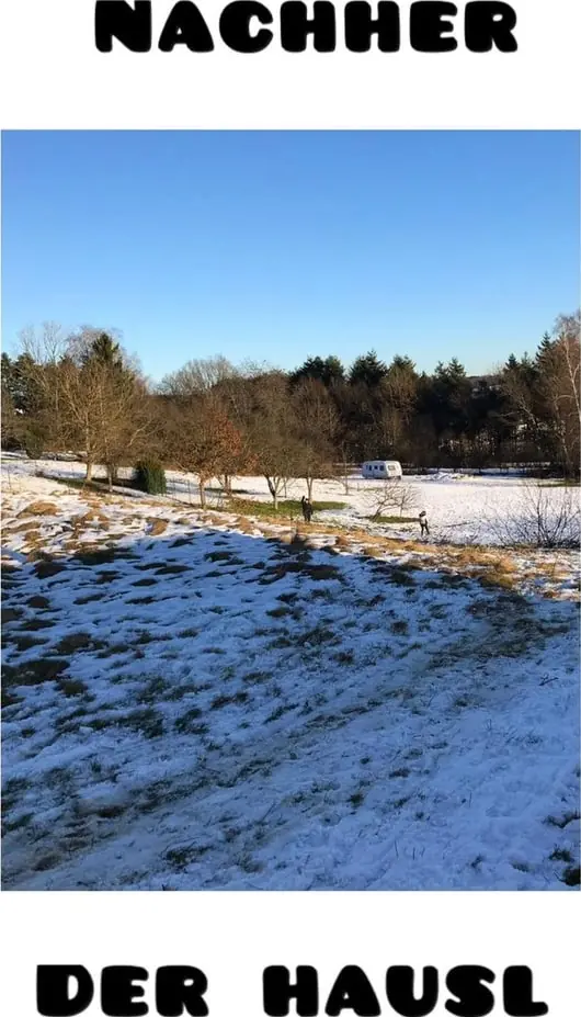 Nachher: Ginster von der Wiese gerodet