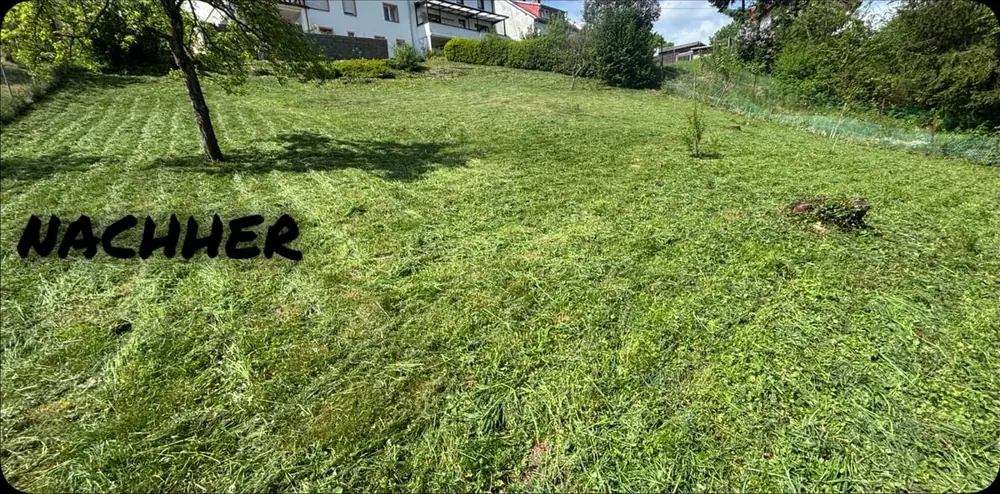 Nachher: Hangwiese am Haus gemäht