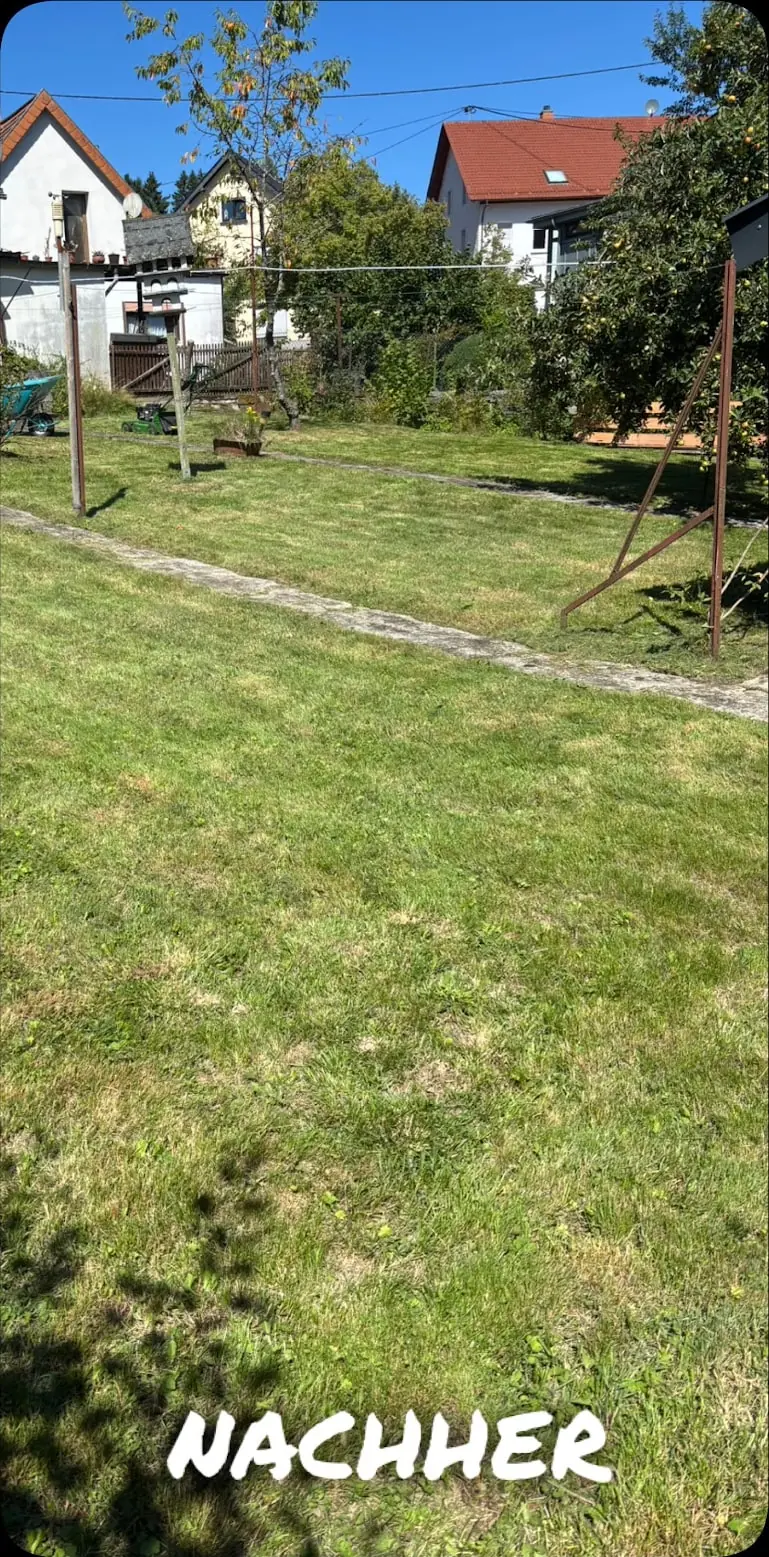 Nachher: Hohe Wiese zu kurzem Rasen