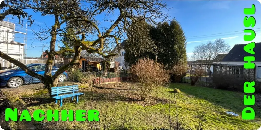 Nachher: Obstbaum und Sträucher ausgelichtet
