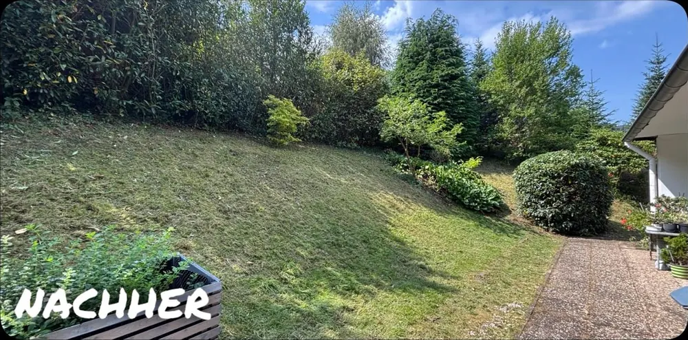 Nachher: Verwilderter Hang wieder frei