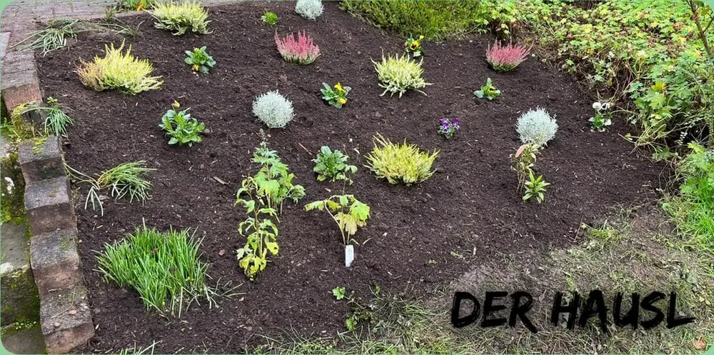 Nachher: Verwildertes Beet neu bepflanzt