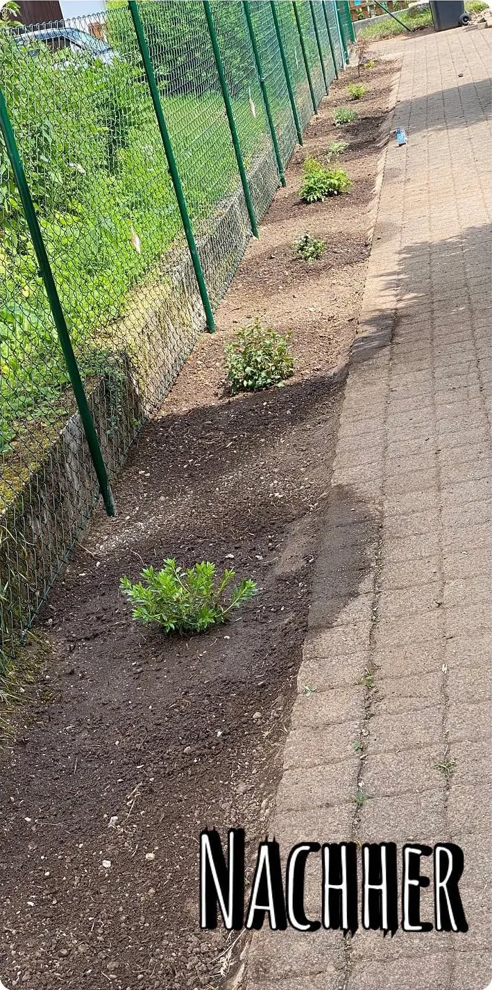 Nachher: Zaun gesetzt und Beet angelegt