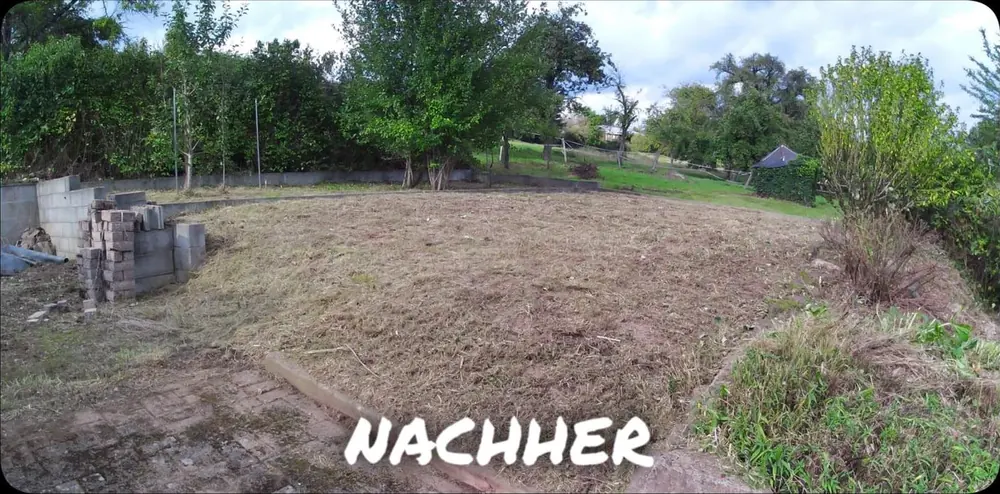 Nachher: Zugewachsenes Grundstueck wieder offen